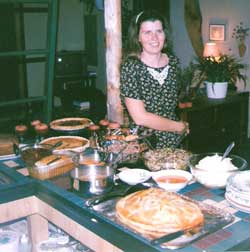 VanGo House Painting